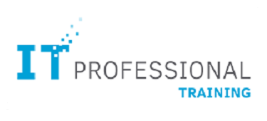 IT Professional Training
