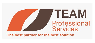 TEAM Professional Services
