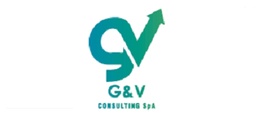 G&V Consulting